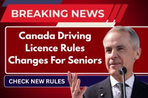 Canada Driving Licence Rules Changes For Seniors Above 70+, Know New Regulations