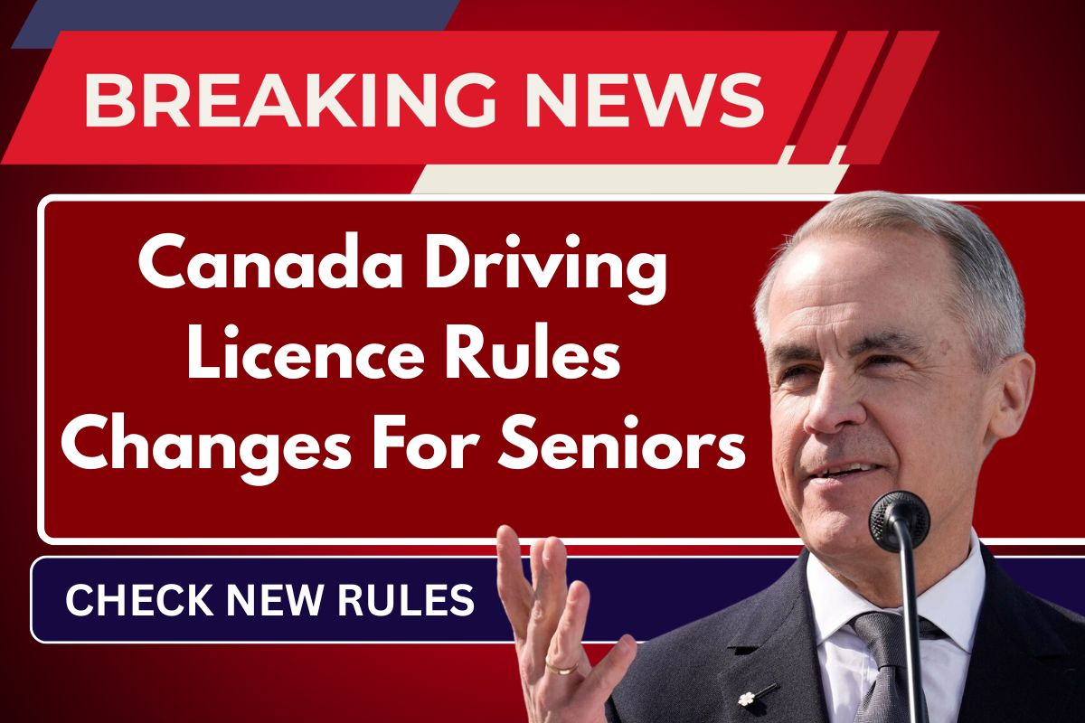 Canada Driving Licence Rules Changes For Seniors Above 70+, Know New Regulations